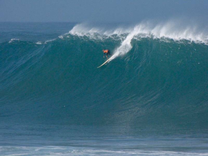 Eddie Would Go Sticker Lot Big Wave Invitational Hawaii Quiksilver Surf Sticker