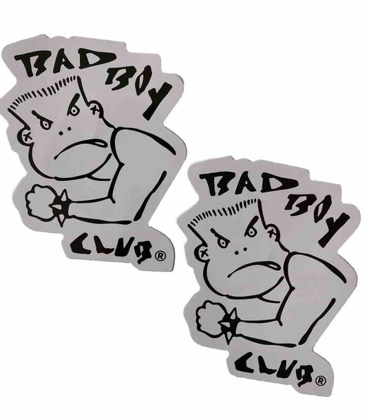 BAD BOY STICKER Set UFC RVCA MMA Vintage Surf Stickers Skateboard Stickers  Quik