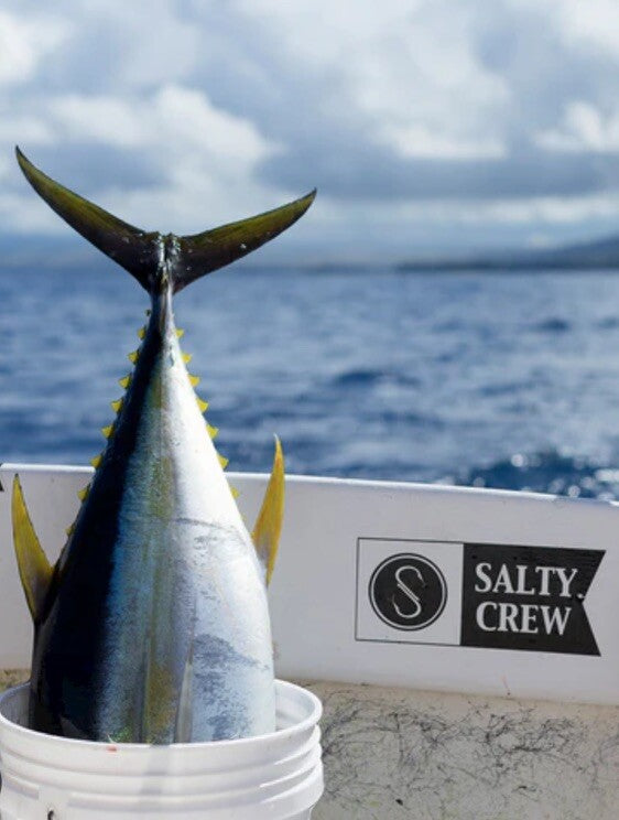 SALTY CREW STICKERS SIMMS PENN Surf Daiwa Shimano Patagonia Aftco Orvis